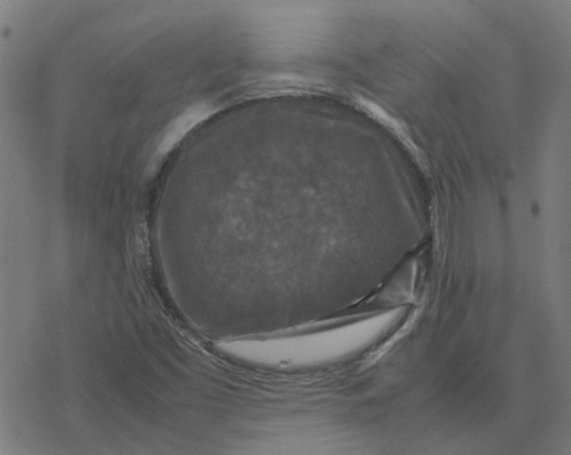 X0000077291453200611101331