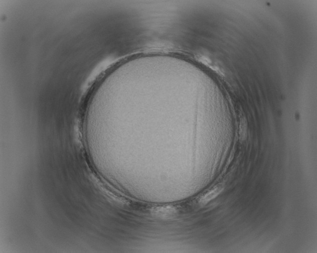 X0000077291454200611101331