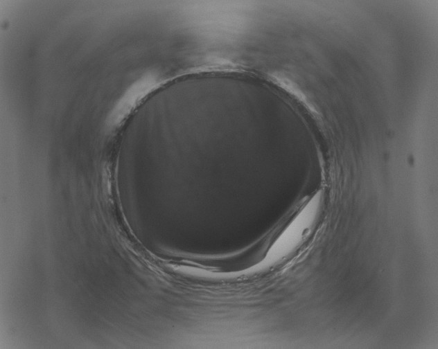 X0000077291455200611101331