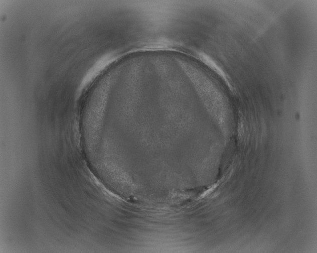 X0000077291456200611101331