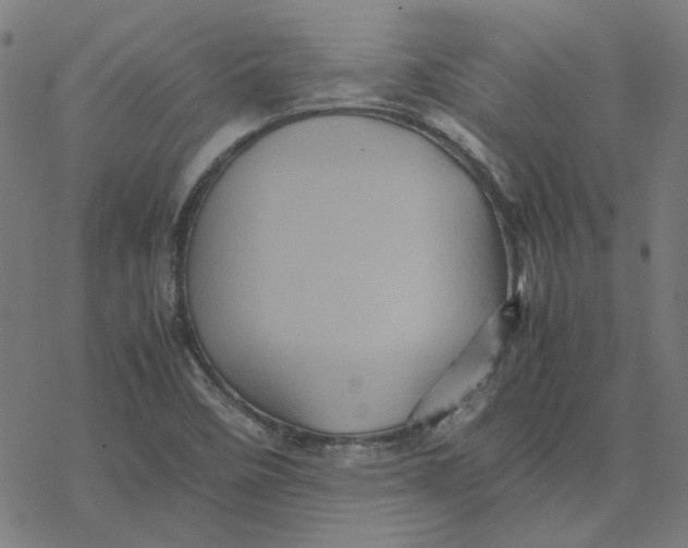 X0000077291458200611101331