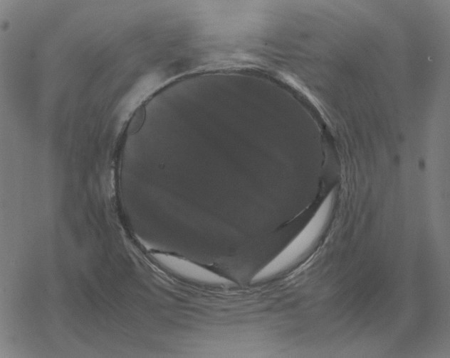 X0000077291459200611101331