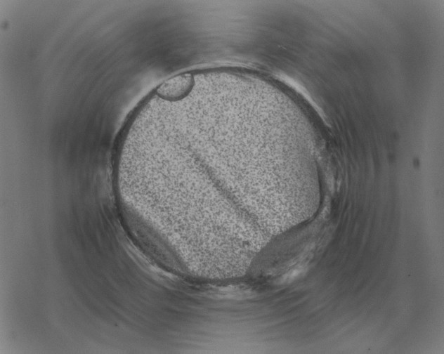 X0000077291460200611101331