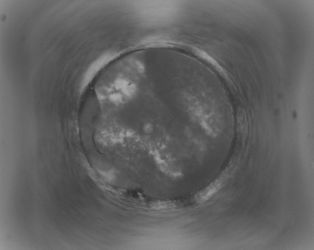 X0000077291461200611101331