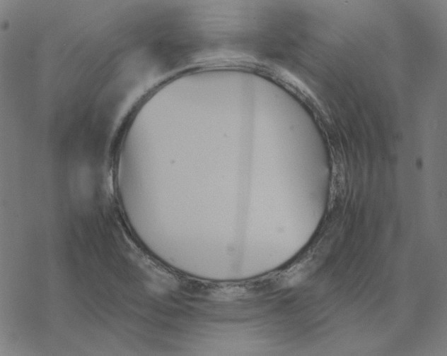 X0000077291462200611101331