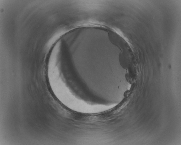 X0000077291463200611101331