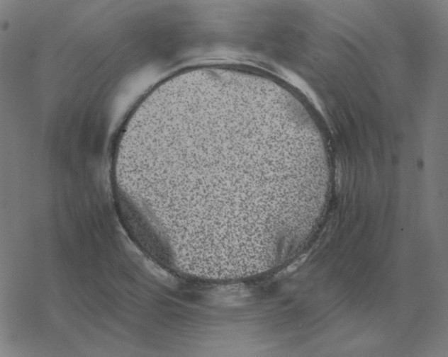 X0000077291464200611101331