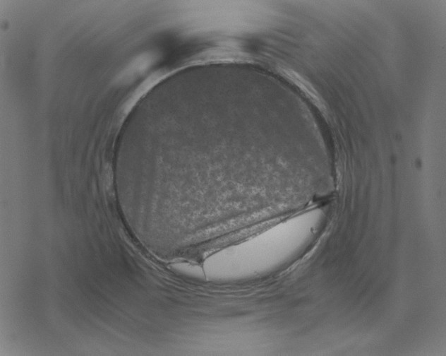 X0000077291465200611101331