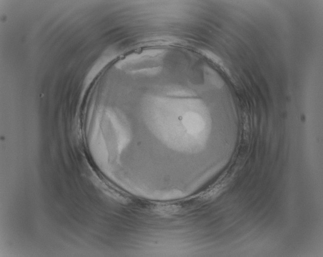 X0000077291466200611101331