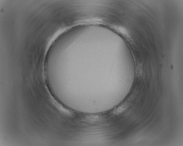 X0000077291470200611101331