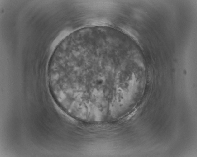 X0000077291471200611101330