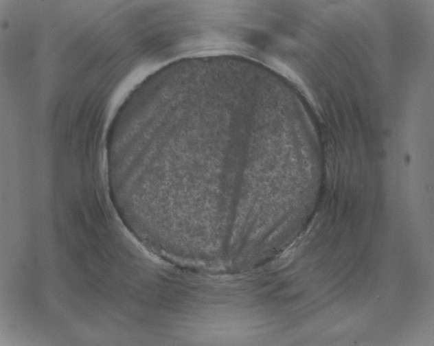 X0000077291472200611101330