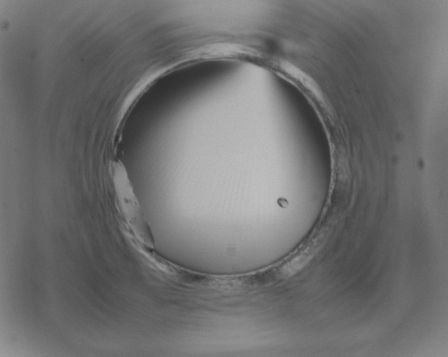 X0000077291473200611101330