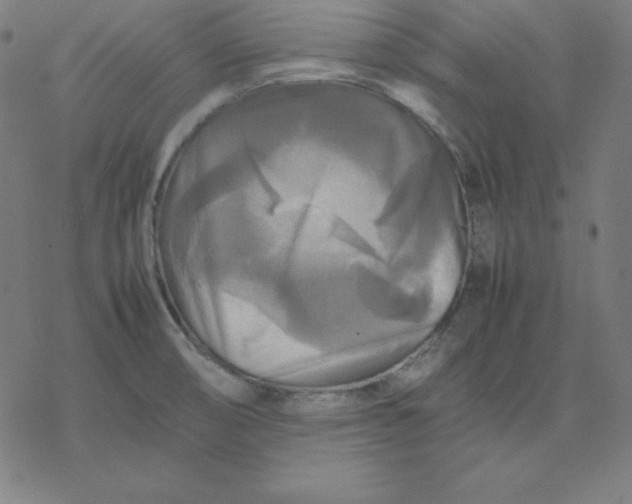 X0000077291474200611101330