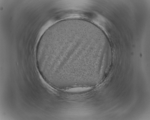 X0000077291475200611101330