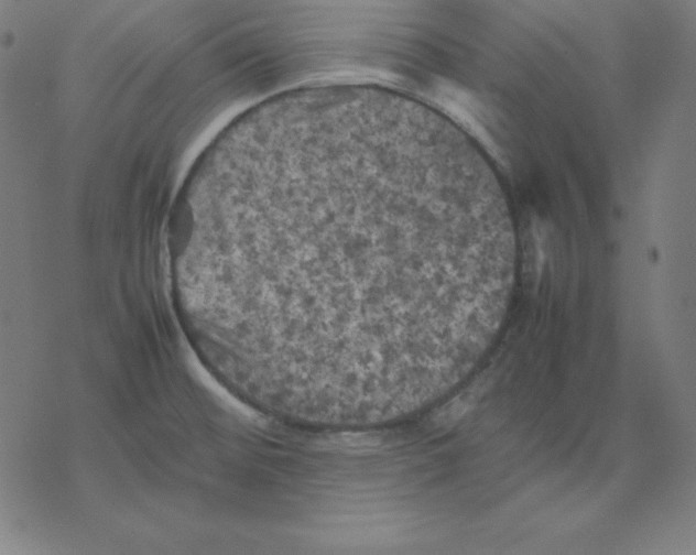 X0000077291476200611101330