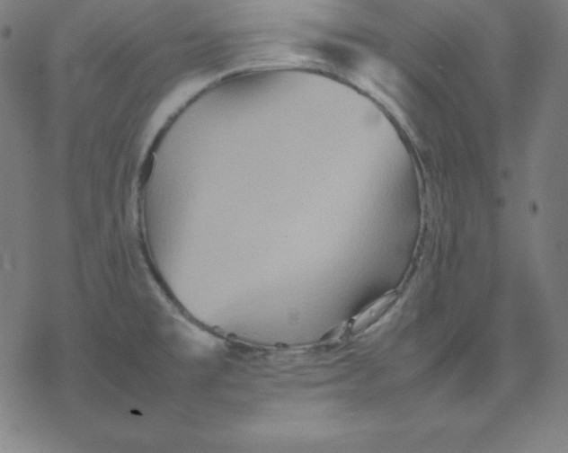 X0000077291477200611101330