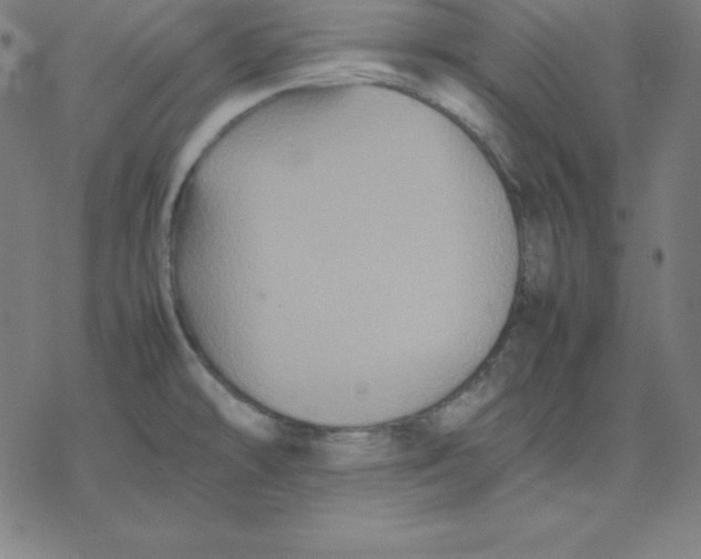 X0000077291478200611101330