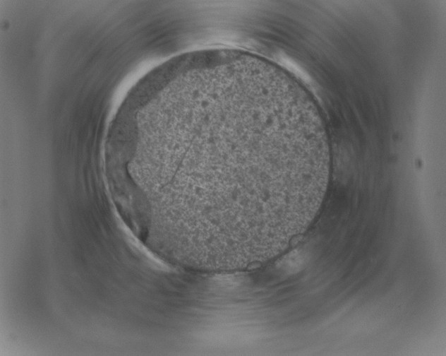 X0000077291480200611101330