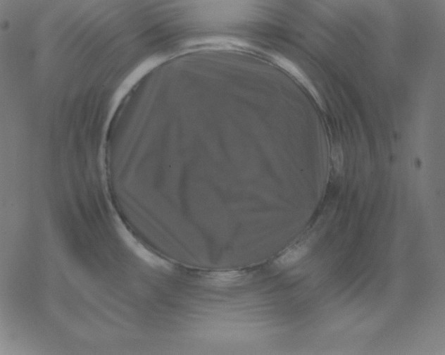 X0000077291482200611101330