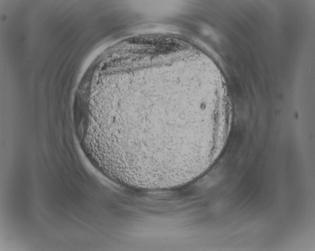 X0000077291483200611101330