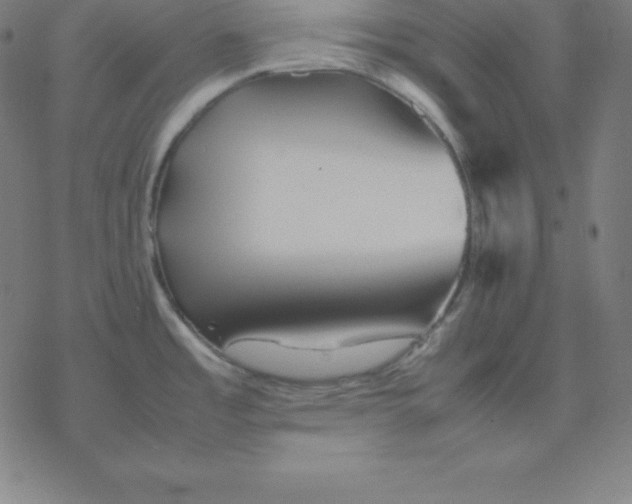 X0000077291485200611101330