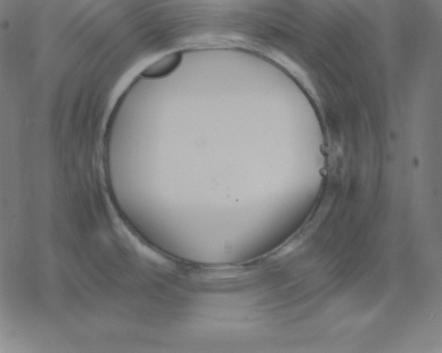 X0000077291486200611101330