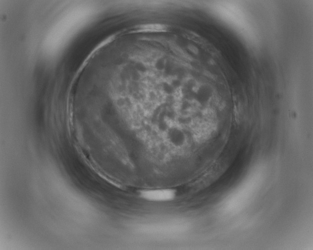 X0000077291487200611101330