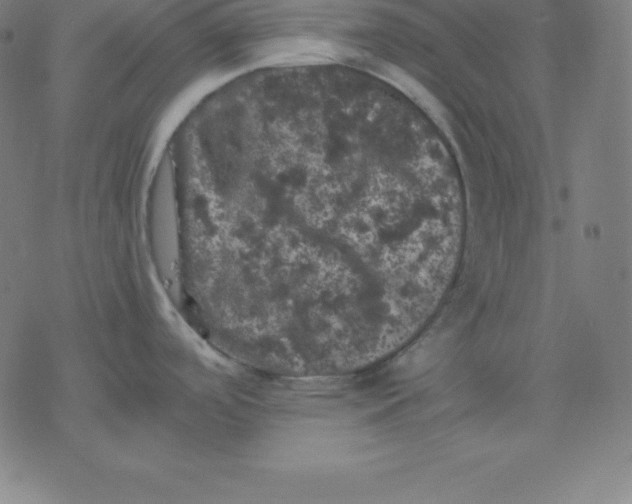 X0000077291488200611101330