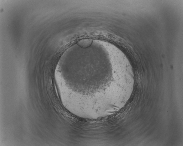 X0000077291489200611101329