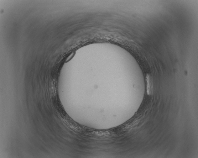 X0000077291491200611101329