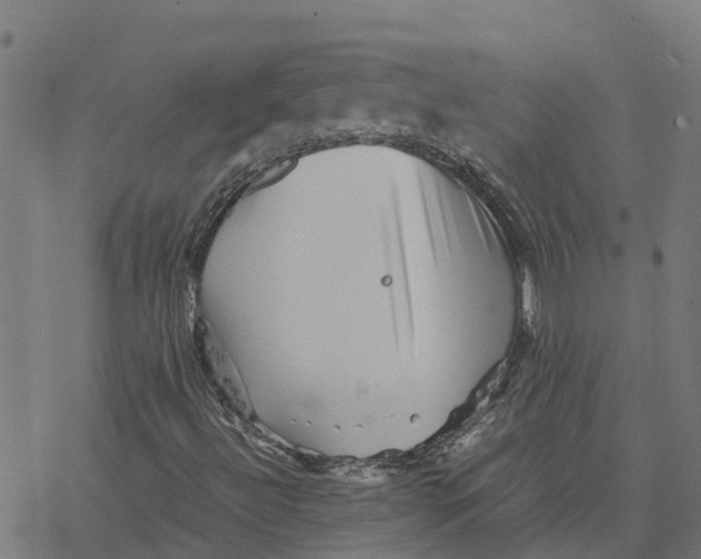 X0000077291492200611101329