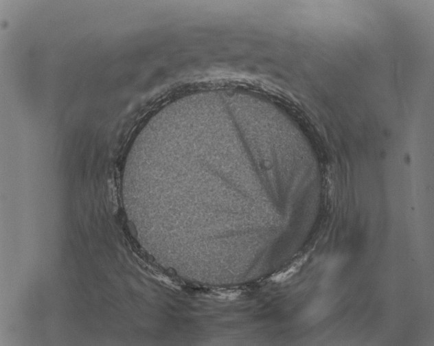 X0000077291493200611101329