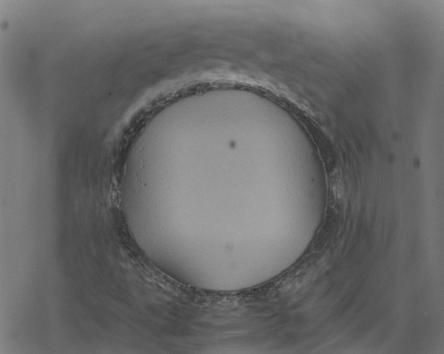 X0000077291495200611101330