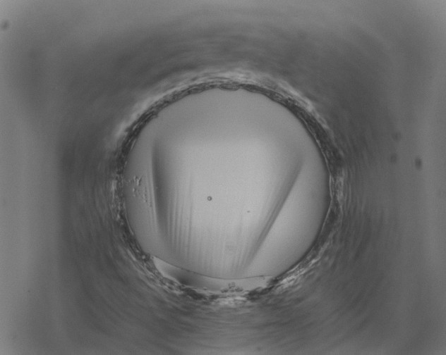 X0000077291496200611101330