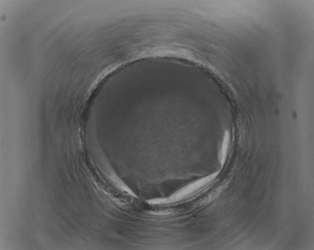 X0000077291497200611101330