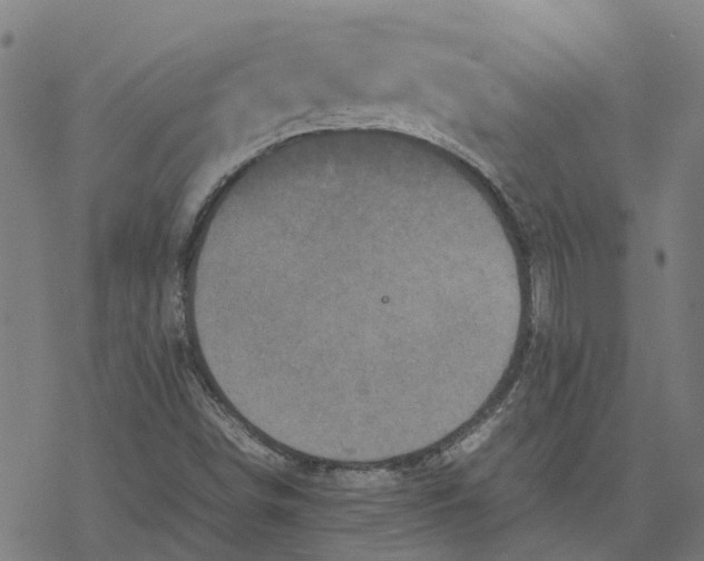 X0000077291498200611101330