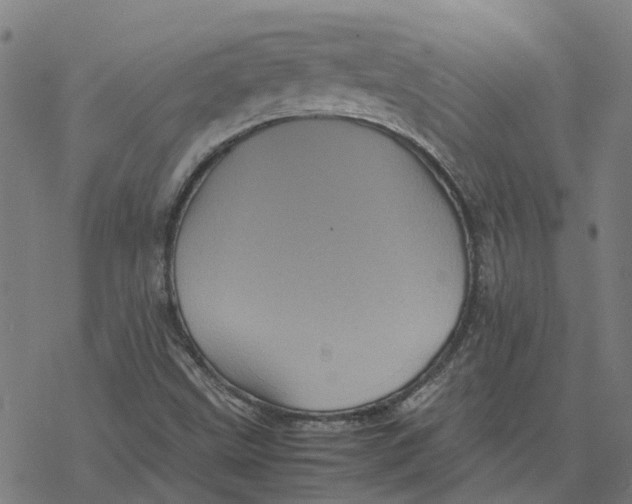 X0000077291499200611101330