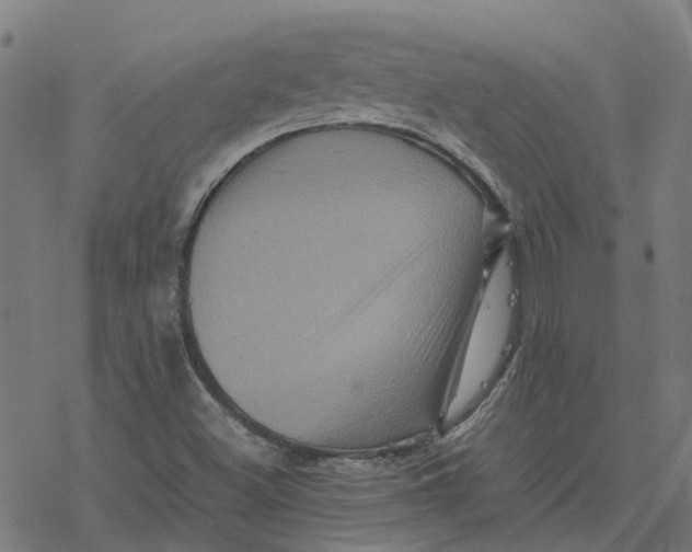 X0000077291500200611101330