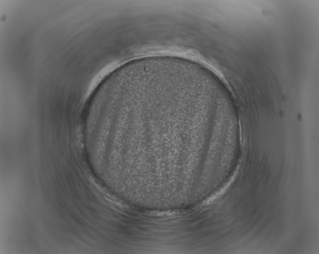 X0000077291501200611101330