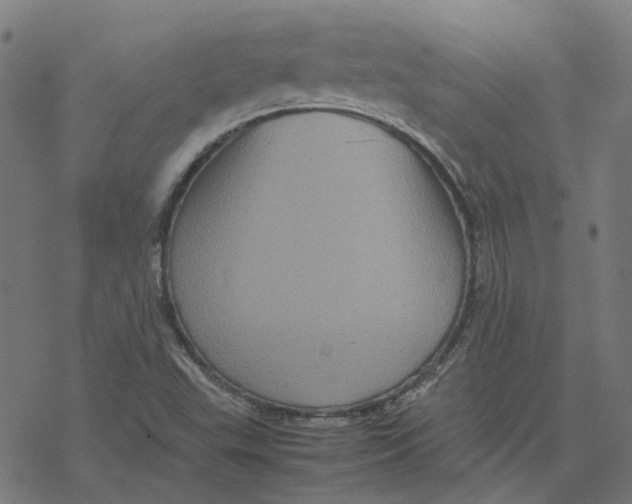 X0000077291503200611101330