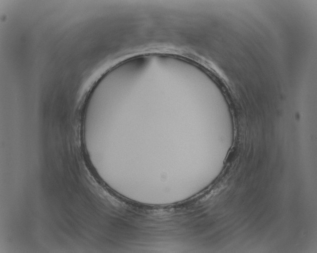 X0000077291504200611101330