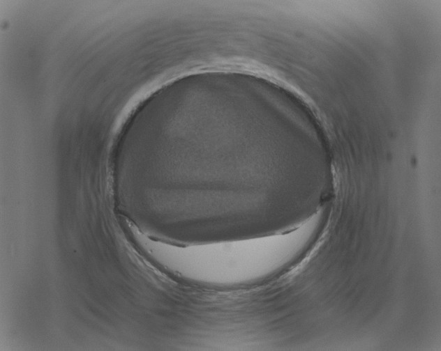 X0000077291506200611101330