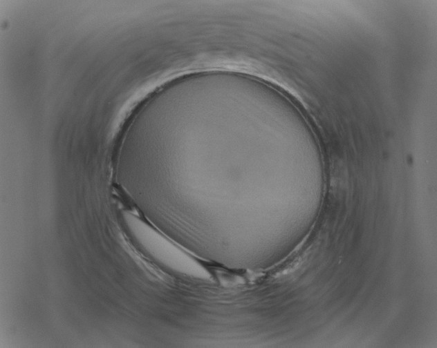 X0000077291507200611101330