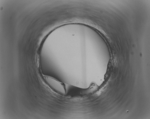 X0000077291510200611101330