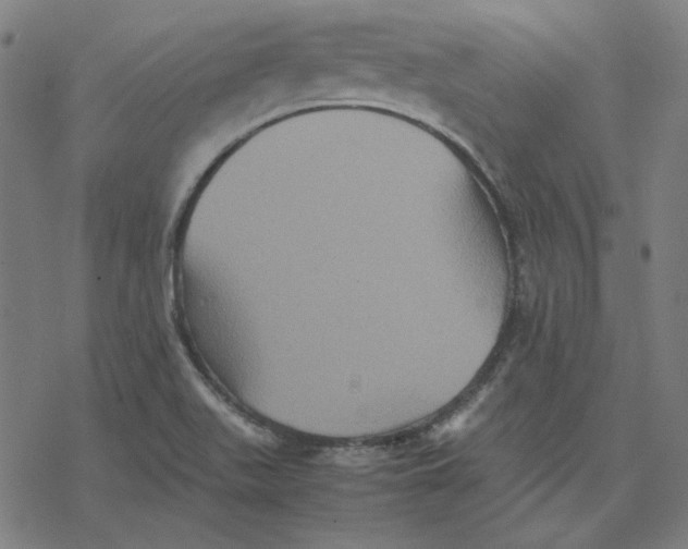 X0000077291511200611101330