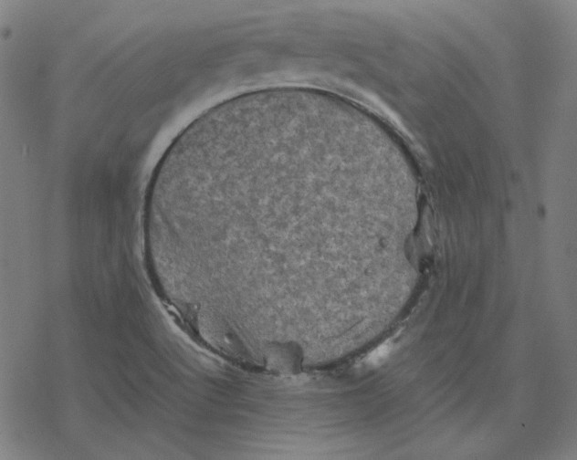 X0000077291512200611101330