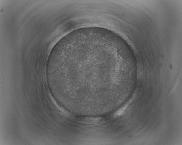 X0000077291513200611101330