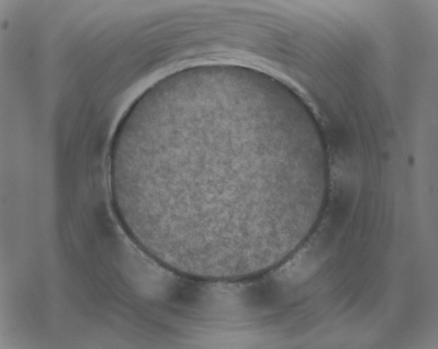 X0000077291514200611101330