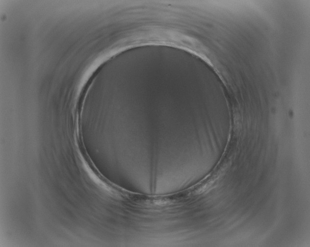 X0000077291515200611101330